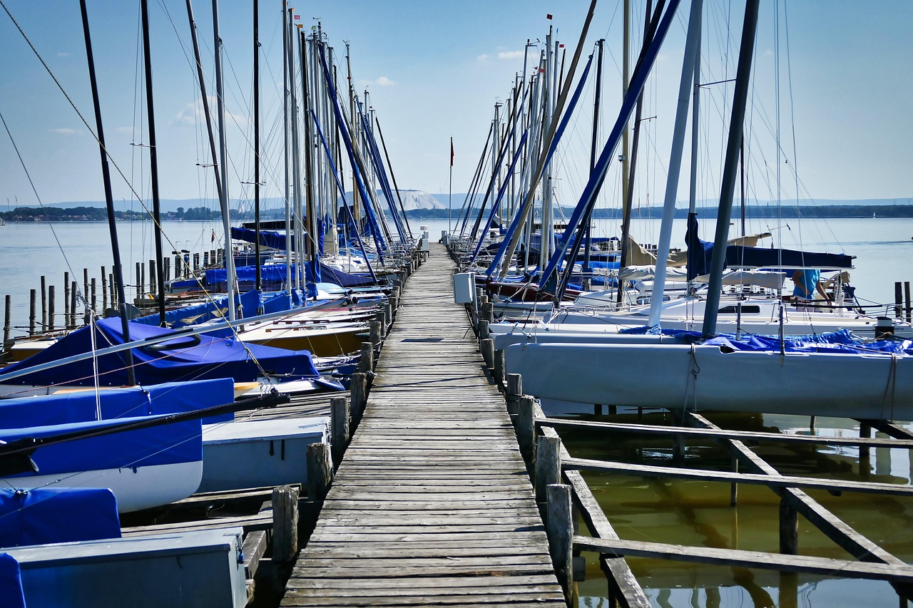 电竞网，连接虚拟世界与现实竞技的桥梁